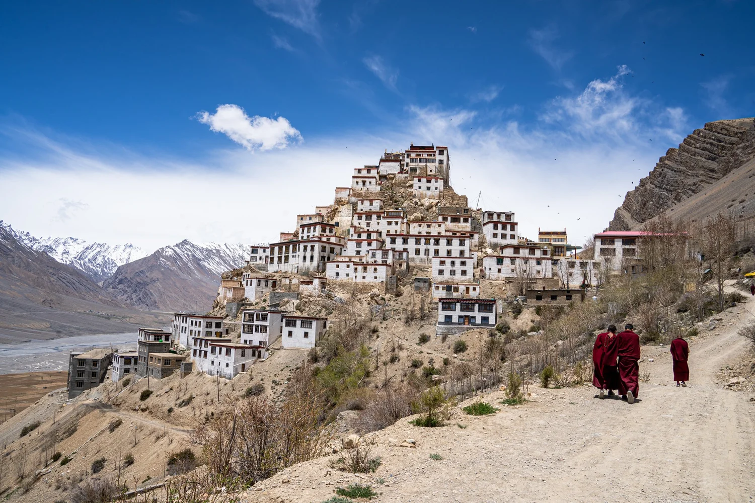 manali chandratal spiti road trip in Himachal Pradesh