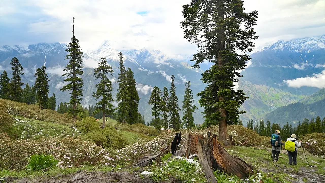 Sar Pass Valley