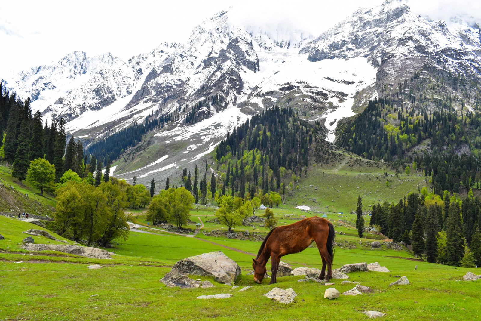 Picturesque Kashmir Valley Landscape