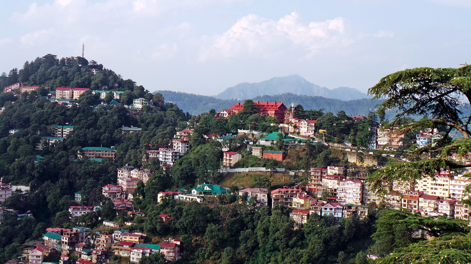 Chail Palace & Hills