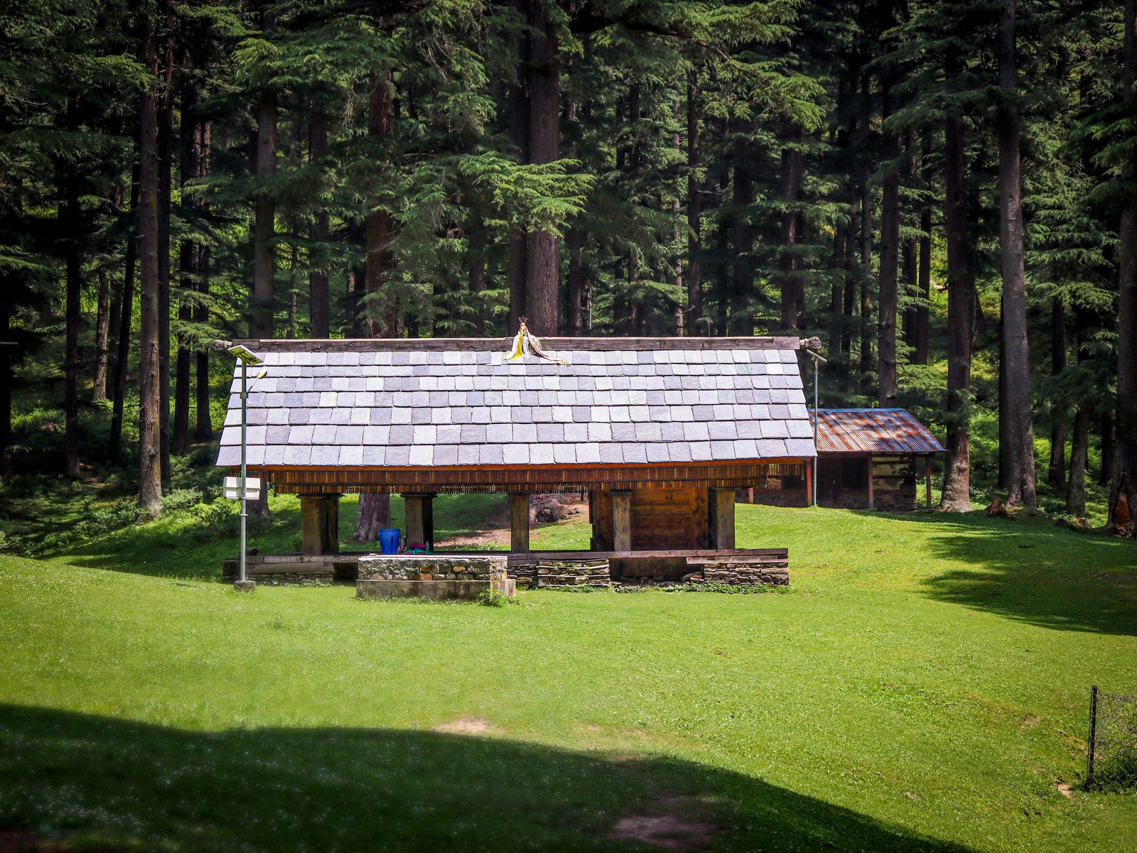 Shoja | Jalori Pass Tour